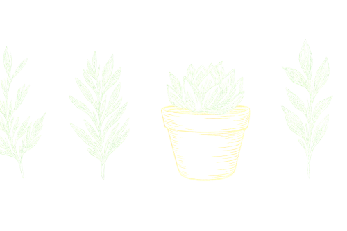 high_contrast_botanical
